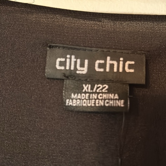 City Chic Women Plus Size V Necked plus size Dress mini bouquet Belt Sz XL 22 - Picture 10 of 13